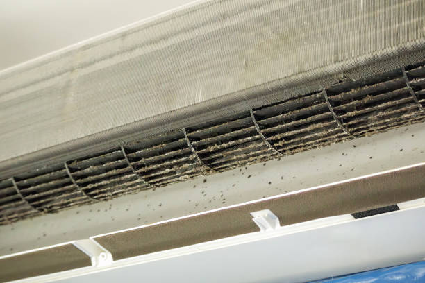 Best HVAC Air Duct Cleaning  in Medina, TN